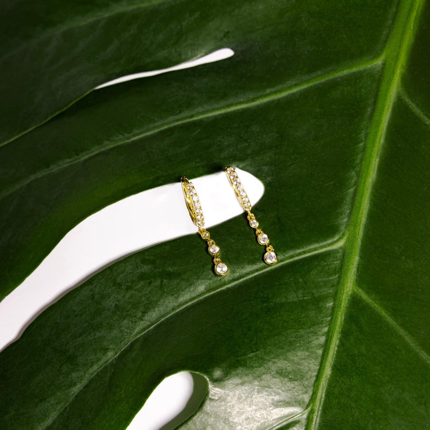 Lilly Modern Dangle Earrings